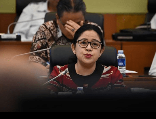 Ketua DPR RI Puan Maharani Punya 10 Kendaraan, Totalnya Rp1,5 M