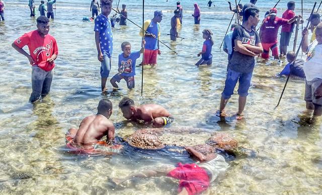 Mengenal Tradisi Mancing Snap Mor di Biak