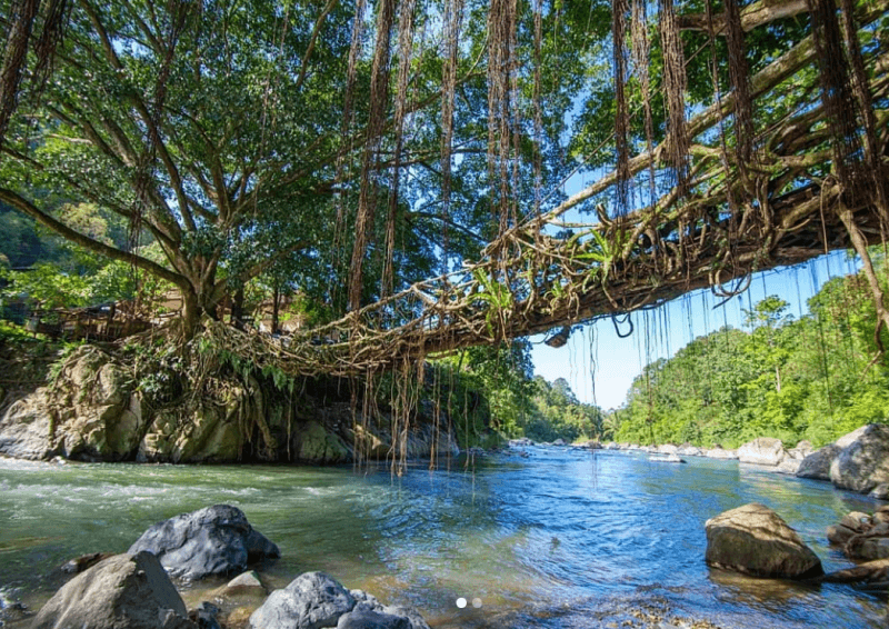 Jembatan Akar, Spot Wisata Keren di Baduy