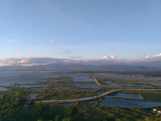 Ke Danau Limboto Gorontalo, Burung dari Berbagai Belahan Dunia Bermigrasi