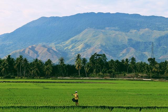 Target 2,5 Juta Petani Milenial Digital di 2026, Telkom Siapkan Agree