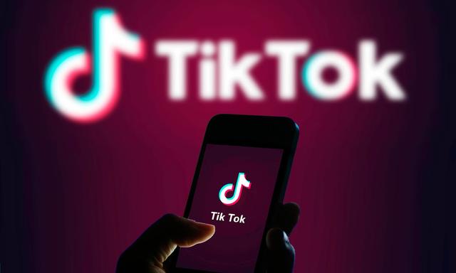  Daftar Calon Pemilik Baru TikTok