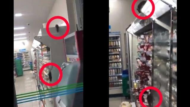 Video Tikus Berkeliaran di Gerainya Viral, FamilyMart Minta Maaf