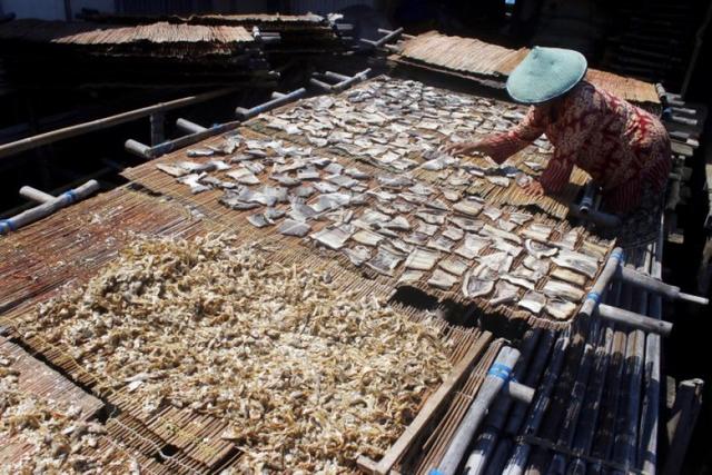  Hebat! Mahasiswa Ciptakan Mesin Pengering Ikan Bertenaga Angin 