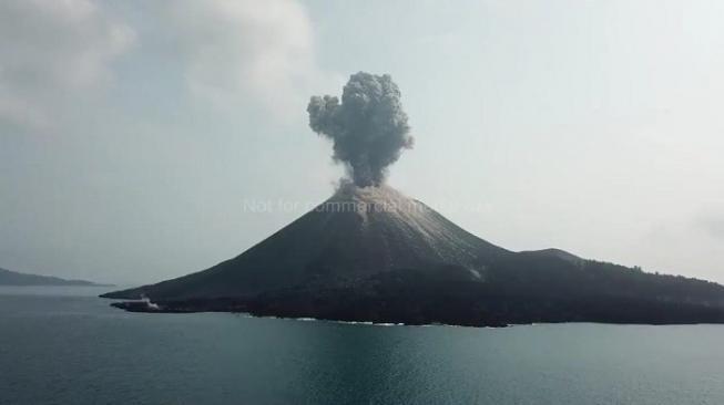 Gunung Anak Krakatau Erupsi, Sehari Meletus 576 Kali