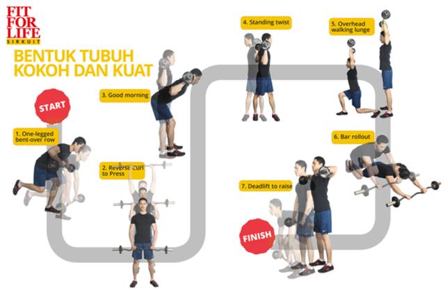 Bentuk Tubuh Kokoh dan Kuat