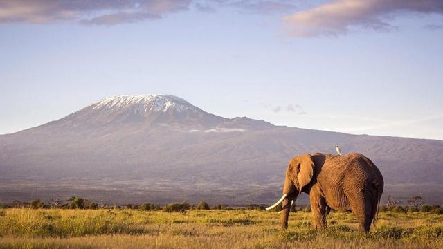 Kisah Bocah Indonesia Taklukkan Gunung Tertinggi di Afrika