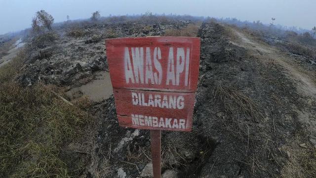 BNPB: Fenomena Langit Merah Jambi Disebabkan Hamburan Mie