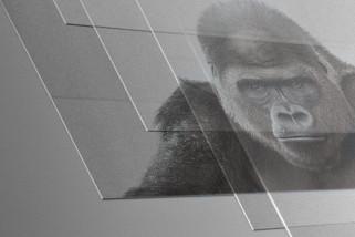 Corning memperkenalkan Gorilla Glass 6