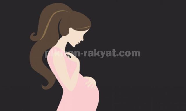 Pola Asuh Seribu Hari Pertama Anak Penentu Kecerdasan