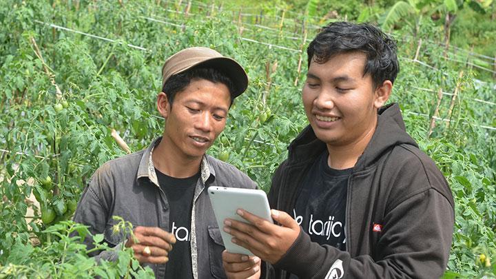 Tanggapan Pengamat Soal Kasus Tanijoy